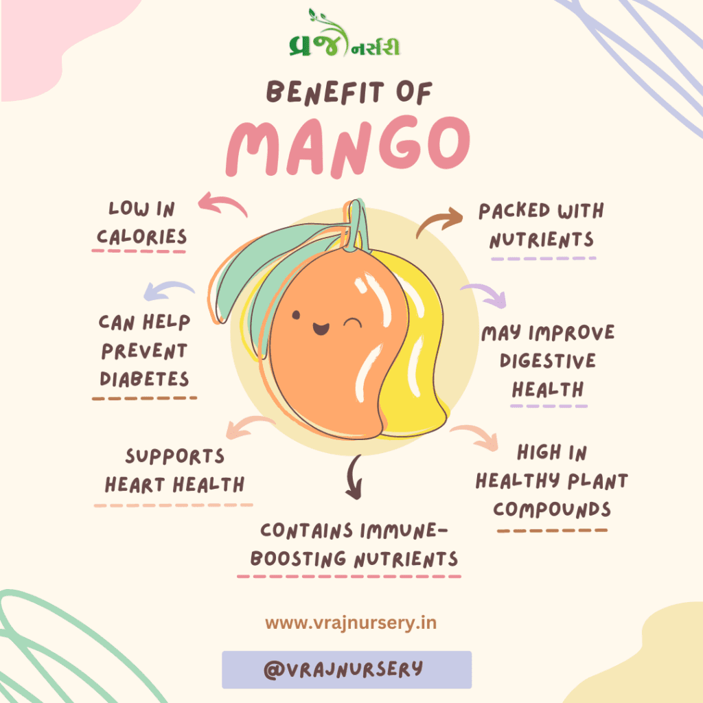 Benefit Of Mango