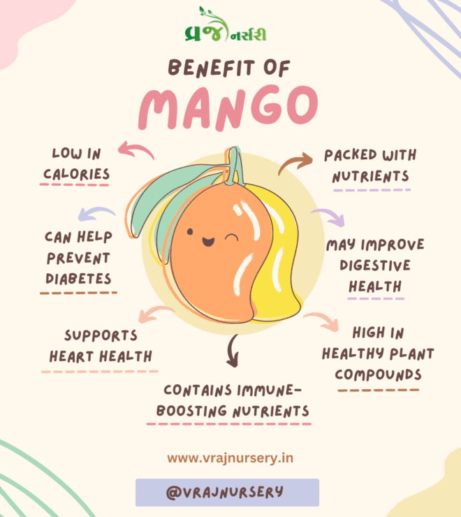 Benefit Of Mango